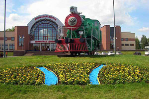 Тротуарная плитка в Дубне